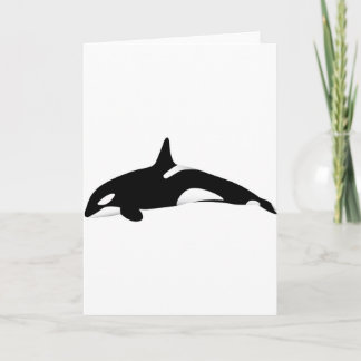 Killer Whale Karte