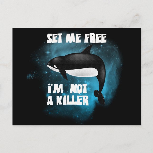 Killer Whale - Orca Postkarte (Vorderseite)