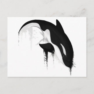 Killer Whale Orca von Crem Postkarte
