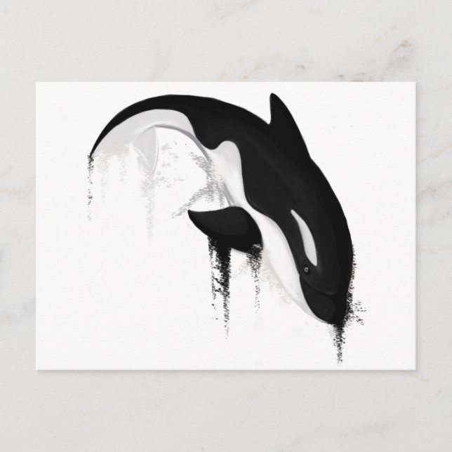 Killer Whale Orca von Crem Postkarte (Vorderseite)