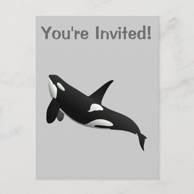 Killer Whale, Orcinus Orca Einladungspostkarte (Vorderseite)