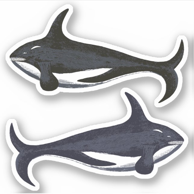 Killer Whales Aufkleber (Vorderseite)