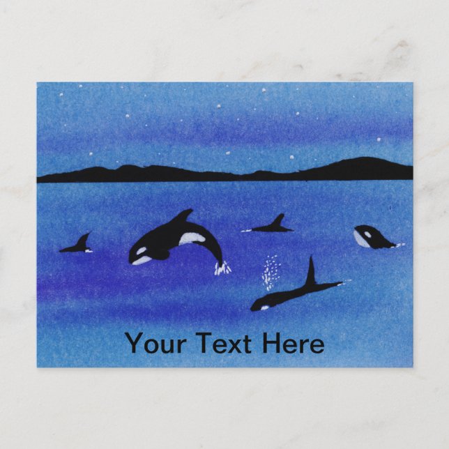 Killer Whales Postkarte (Vorderseite)