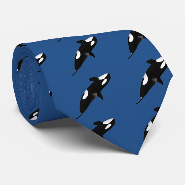 Killerwal, Orcinus orca Krawatte (Gerollt)
