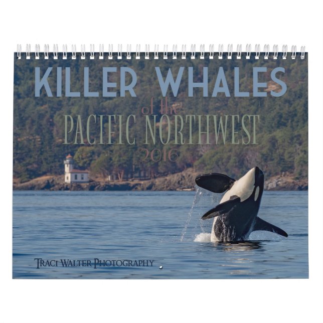 Killerwale im Nordwesten des Pazifiks - Kalender (Titelbild)