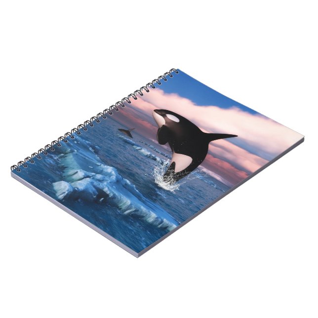 Killerwale in der Arktis Notizblock (Linke Seite)