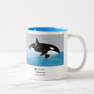 Killerwhale , Orcinus orca Zweifarbige Tasse