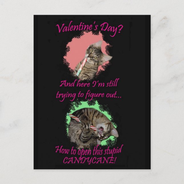 Kimber Candycane Valentinas Postkarte (Vorderseite)