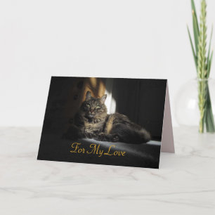 Kimber Cat Slivers of Sunlight Anniversary Card Karte