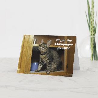 Kimber in der Jubiläumskarte Karte