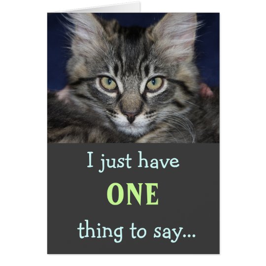 Kimber Katze danken Ihnen zu kardieren Karte