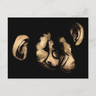 Kimpanse küssend postkarte