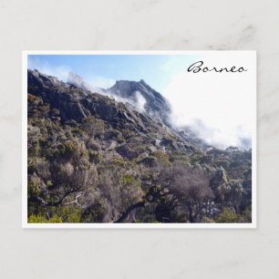 kinabalu borneo natur postkarte