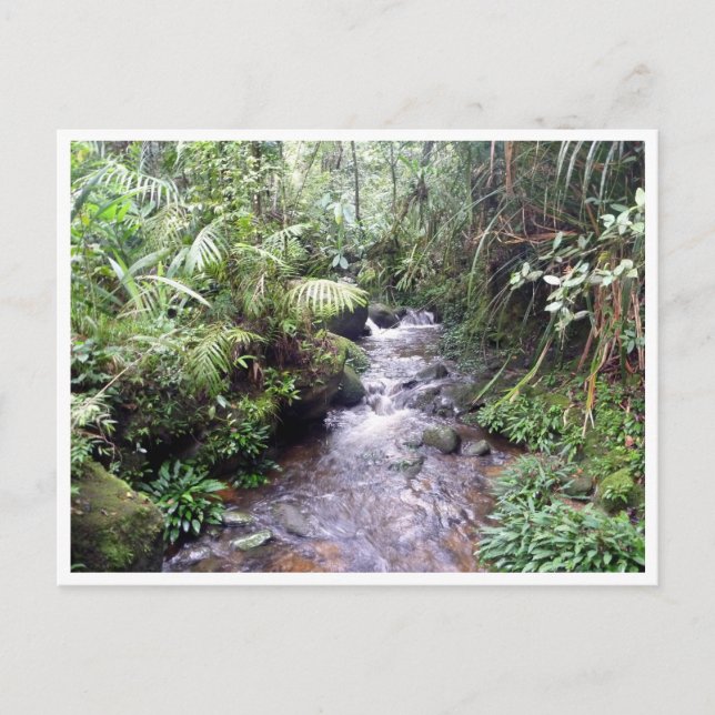Kinabalu Postkarte (Vorderseite)