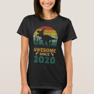 Kinder 3 Jahre alt Dinosaurier Phantastisch seit 2 T-Shirt