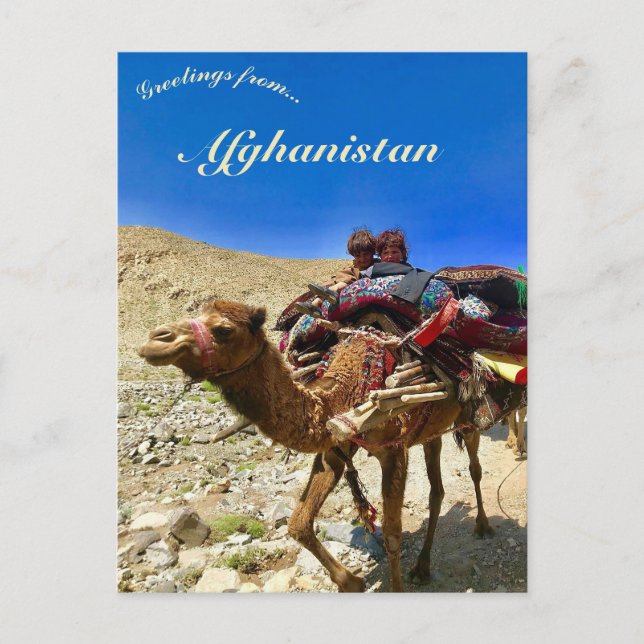 Kinder auf einem Kamel in Herat Afghanistan Postkarte (Vorderseite)