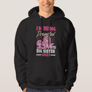 Kinder, die ich zu großen Schwester Dinosaurier Bi Hoodie