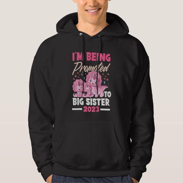 Kinder, die ich zu großen Schwester Dinosaurier Bi Hoodie (Vorderseite)