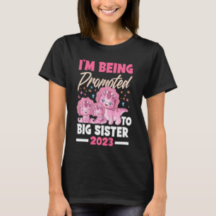 Kinder, die ich zu großen Schwester Dinosaurier Bi T-Shirt