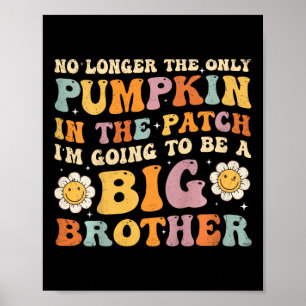Kinder Groovy Big Brother Fall Schwangerschaft Ank Poster