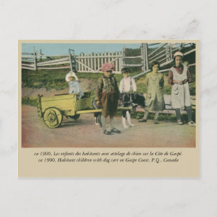 Kinder mit Hundekarren, Gaspe-Küste Quebec Kanada Postkarte