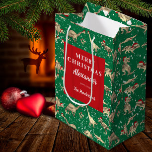 Kinder Personalisierte Weihnachtsdinosaurier im Sc Mittlere Geschenktüte