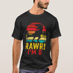 Kinder Rawr Ich bin 6 Jahre alt Junge Dinosaurier  T-Shirt