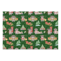 Kinder Weihnachten Niedliche Feiertage Bär