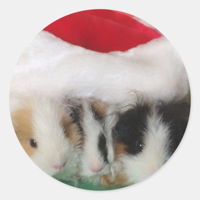 Kinder Weihnachts-Guinea Schweine Aufkleber (Vorderseite)