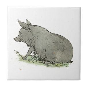 Kinderbuch-Illustration "Gray Pig Piggy Children's Fliese