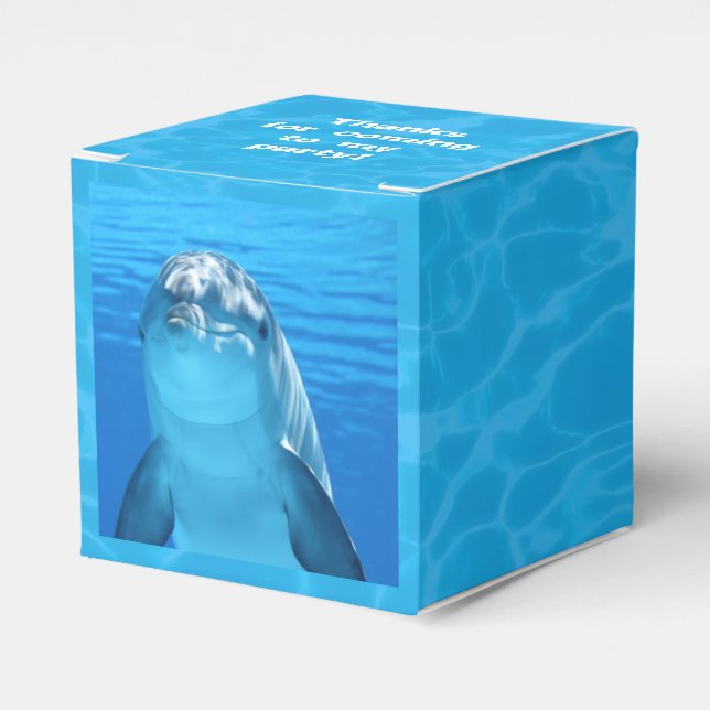 Kindergeburtstag-Delphin-Gastgeschenk mit Text Geschenkschachtel (Vorderseite)