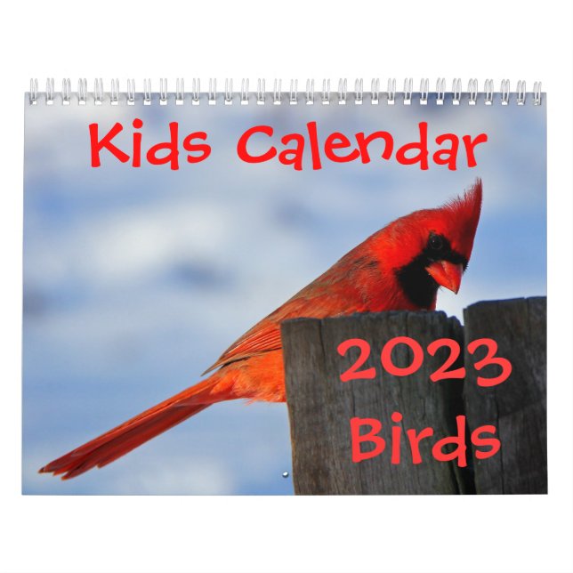 Kinderkalender - 2015 - Vögel Kalender (Titelbild)