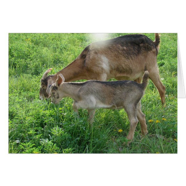 Kindermädchen (Vorderseite (Horizontal))