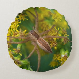 Kinderstuben-Webspinne-Kissen Rundes Kissen