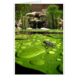 Kindertoilette im Teich