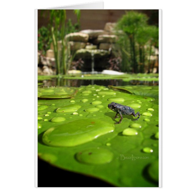 Kindertoilette im Teich (Vorne)