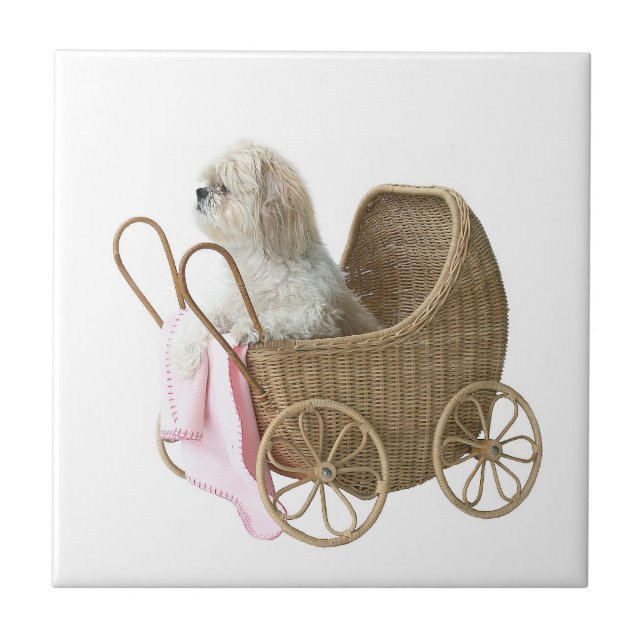 Kinderwagen Shih Tzu Fliese (Vorderseite)