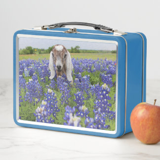Kinderziege-Lunchbox Metall Brotdose