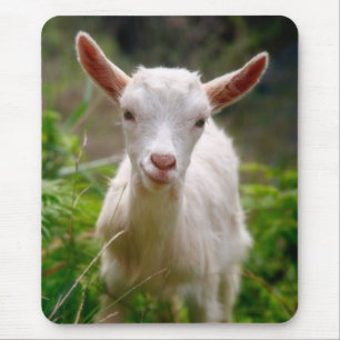 Kinderziege Mousepad