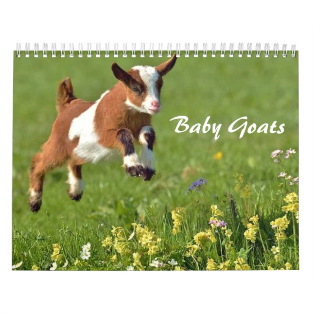 Kinderziegen-Kalender Kalender (Titelbild)