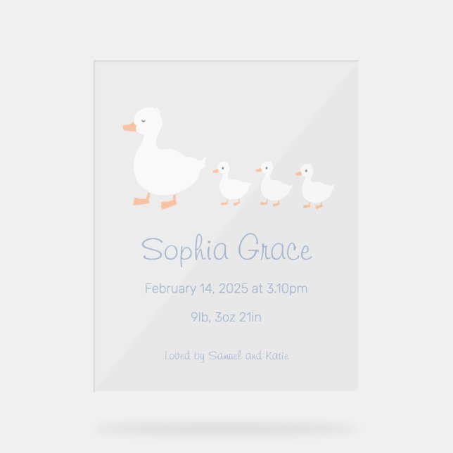 Kinderzimmer Dekoration Kinderdusche oder Ankündig (Vorderseite)