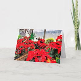 Kinderzimmer poinsettias karte