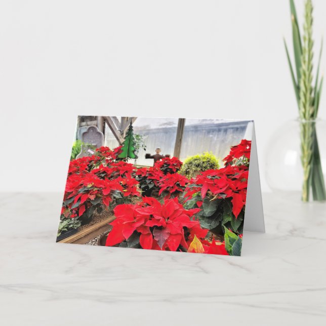 Kinderzimmer poinsettias karte (Vorderseite)