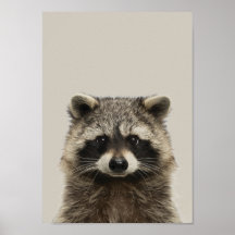 Kinderzimmer-Poster für Kleinkinder - Racoon