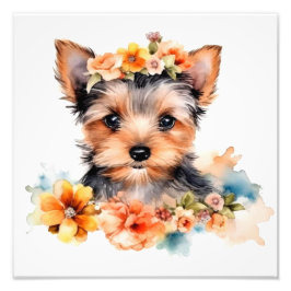 Kinderzimmer- und Kinderzimmerdrucke Fotodruck