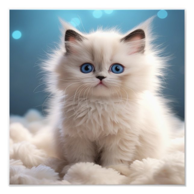 Kinderzimmer- und Kinderzimmerdrucke von Kitten Fotodruck (Vorne)