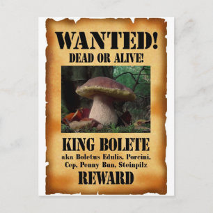 King Bolete - Gewollt Tote oder Lebende Postkarte