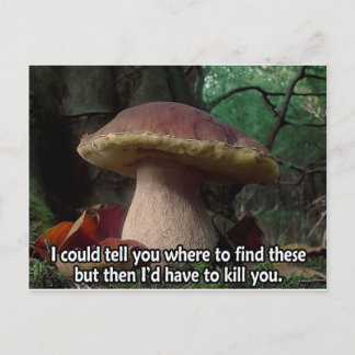 King Bolete - ich müsste dich umbringen Postkarte