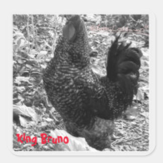 King Bruno Aufkleber