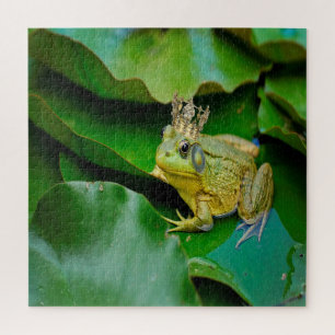 King Bullfrog
